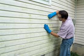 Affordable Siding Repair and Maintenance Services in Sabetha, KS